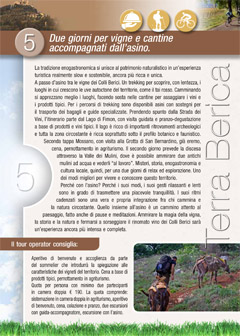 Due giorni per vigne e cantine