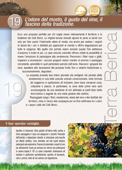 L’odore del mosto, il gusto del vino